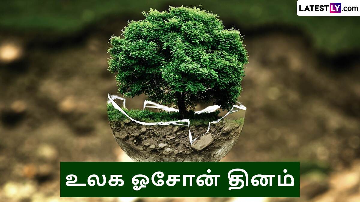 World Ozone Day 2024: ஓசோன் அழிந்தால் என்ன நடக்கும்? இன்று உலக ஓசோன் தினம்.!