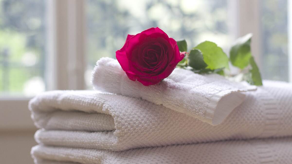 Wash Towels: உங்கள் துண்டை கடைசியா எப்போ துவைச்சிங்க? இந்த விஷயத்தெல்லாம் தெரிஞ்சிக்கோங்க.!