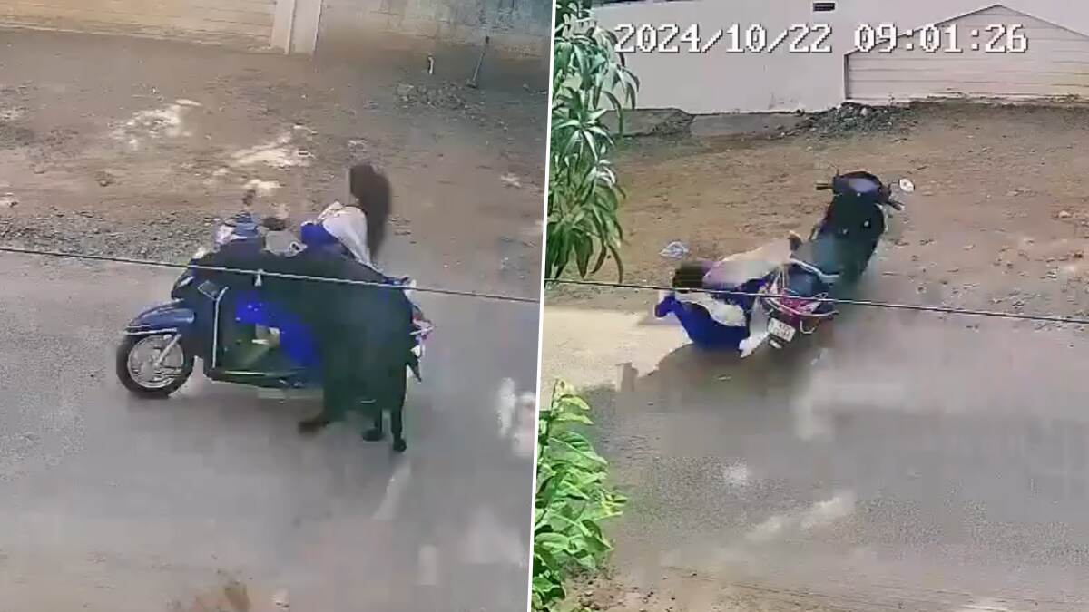Road Accident: சாலையில் மாடு மோதி விபத்து; கல்லூரி மாணவி படுகாயம்.. பதைபதைக்கும் வீடியோ உள்ளே..!