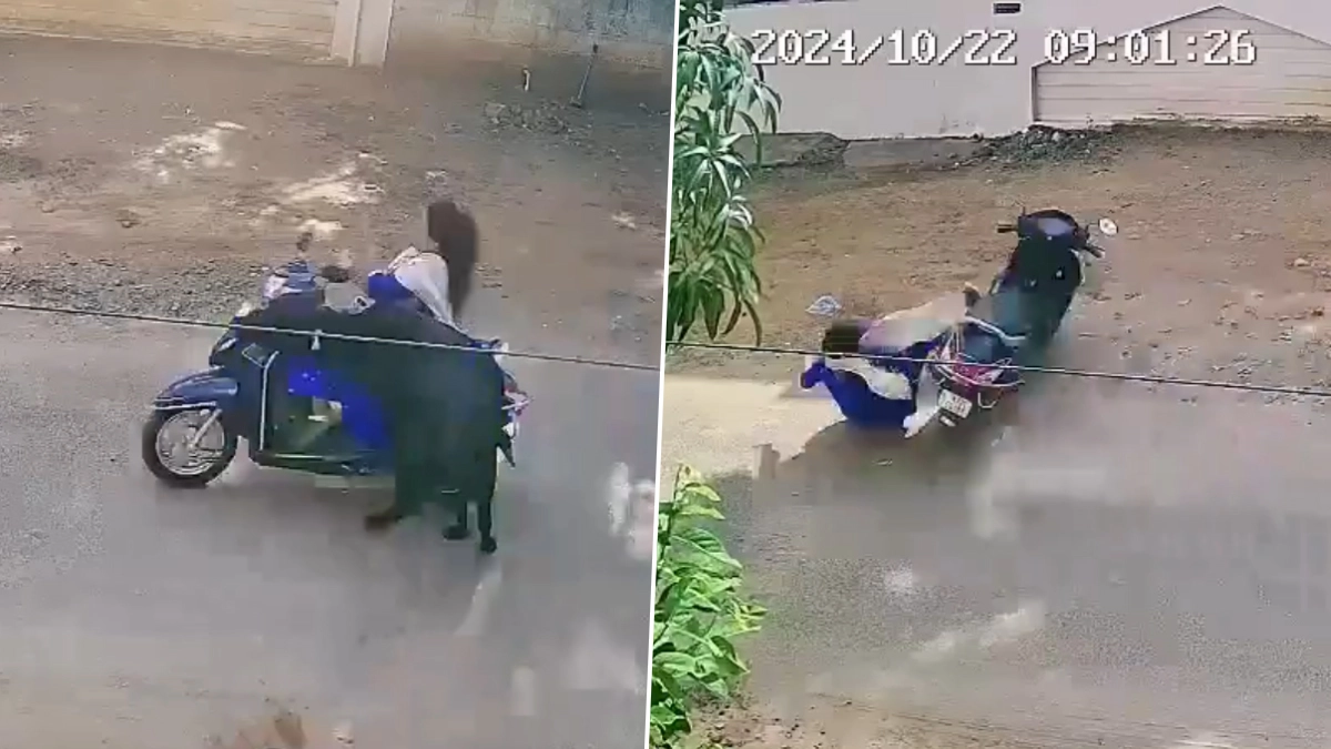 Road Accident: சாலையில் மாடு மோதி விபத்து; கல்லூரி மாணவி படுகாயம்.. பதைபதைக்கும் வீடியோ உள்ளே..!