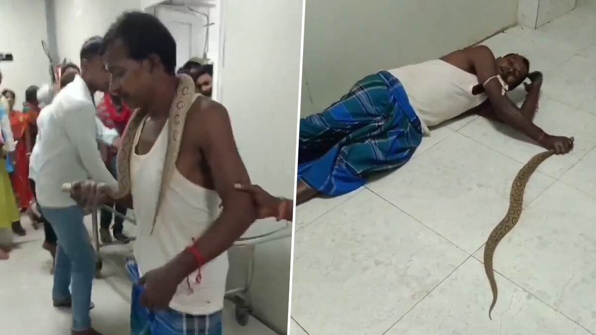 Viral Video: தன்னை கடித்த பாம்பை பிடித்துக் கொண்டு மருத்துவமனைக்குள் புகுந்த நபர்.. அடுத்து நடந்தது என்ன..?