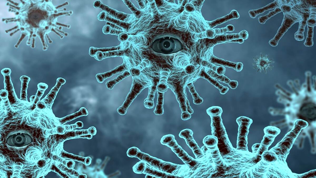 Marburg Virus Scare: வேகமாக பரவும் மார்பர்க் வைரஸ்.. மிரளும் உலக நாடுகள்..!