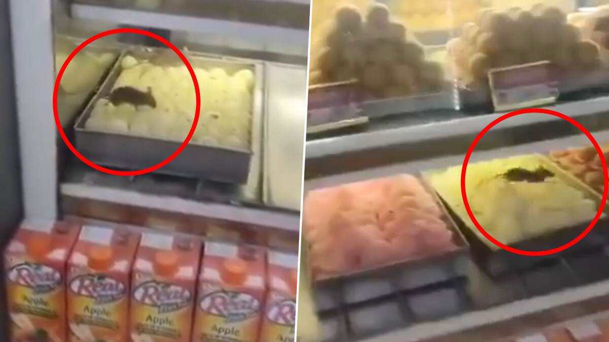 Agarwal Sweets Viral Video: பேக்கரியில் சுற்றித் திரியும் எலிகள்.. அதிர்ச்சியளிக்கும் வீடியோ வைரல்..!