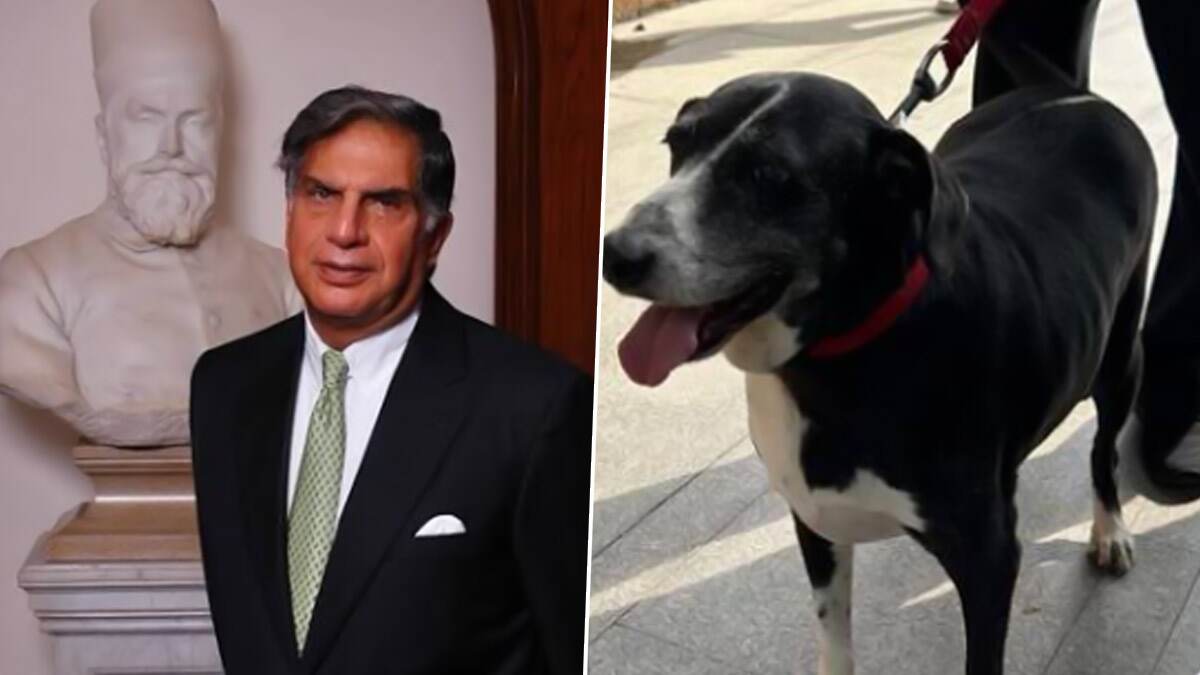 Ratan Tata's Pet Dog 'Goa': ரத்தன் டாடாவின் செல்ல நாய் 'கோவா' இறந்துவிட்டதா? உண்மை செய்தி என்ன..?