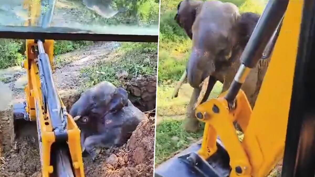 Tusker Rescued: கிணற்றில் தவறி விழுந்து உதவிக்கு பிளிரிய யானை.. காப்பாற்றிய மக்கள்.., வீடியோ வைரல்..!
