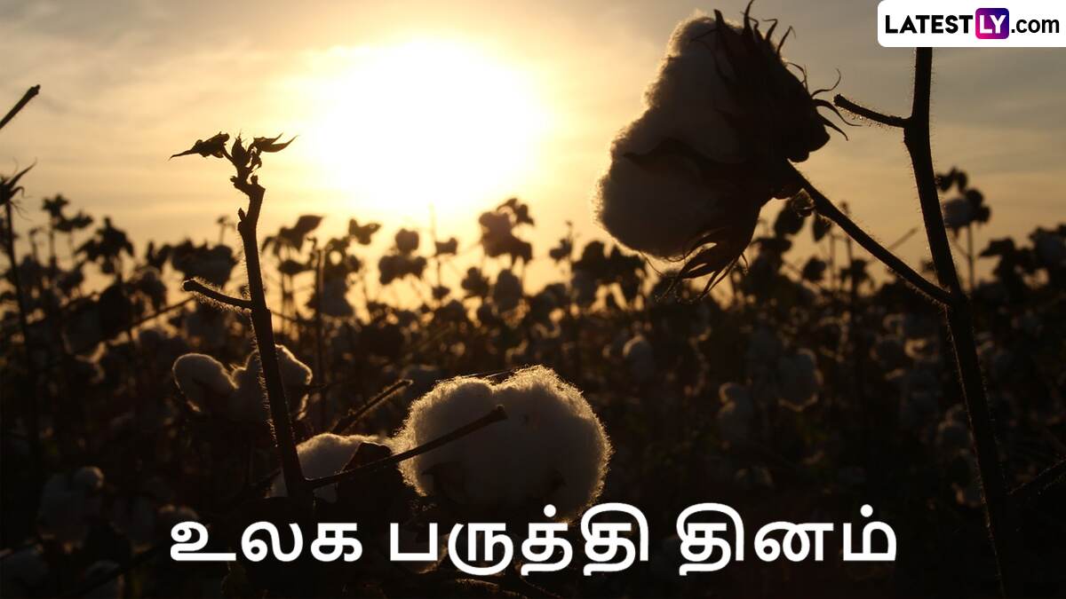 World Cotton Day 2024: உலக பருத்தி தினம்.. பருத்தி ஆடைகளை பராமரிப்பதற்காக உங்களுக்கான சில டிப்ஸ் இதோ..!