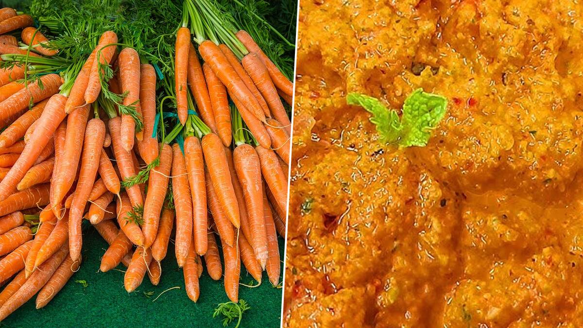 Carrot Chutney Recipe: சத்தான கேரட் சட்னி செய்வது எப்படி..? ரெசிபி டிப்ஸ் இதோ..!