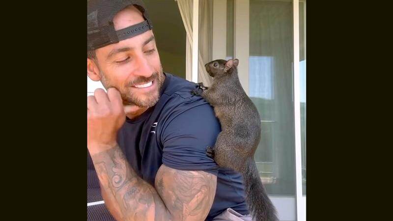 Peanut The Squirrel: இணையத்தை கலக்கிய அணில் கருணைக்கொலை.. குவியும் கண்டனங்கள்.. எலான் மஸ்க் ஆவேசம்.!