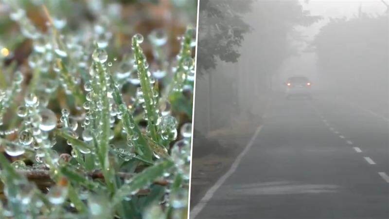 Cold Wave: வடமாநிலங்களை வாட்டி வதைக்கும் குளிர்; பனித்துளிகள் உறைந்து அசத்தல் காணொளி.!