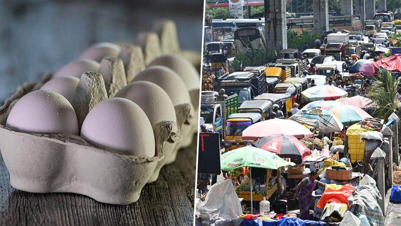 Egg Price in Tamilnadu: முட்டை விலை கிடுகிடு உயர்வு.. சென்னையில் ரூ.7 க்கு விற்பனை.!