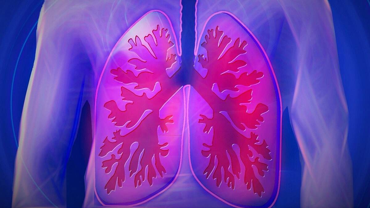 Lung Cancer: நுரையீரல் புற்றுநோயை அலட்சியப்படுத்தினால் மரணம்; உங்களுக்கு இந்த அறிகுறி இருக்குதா? மக்களே உஷார்..!