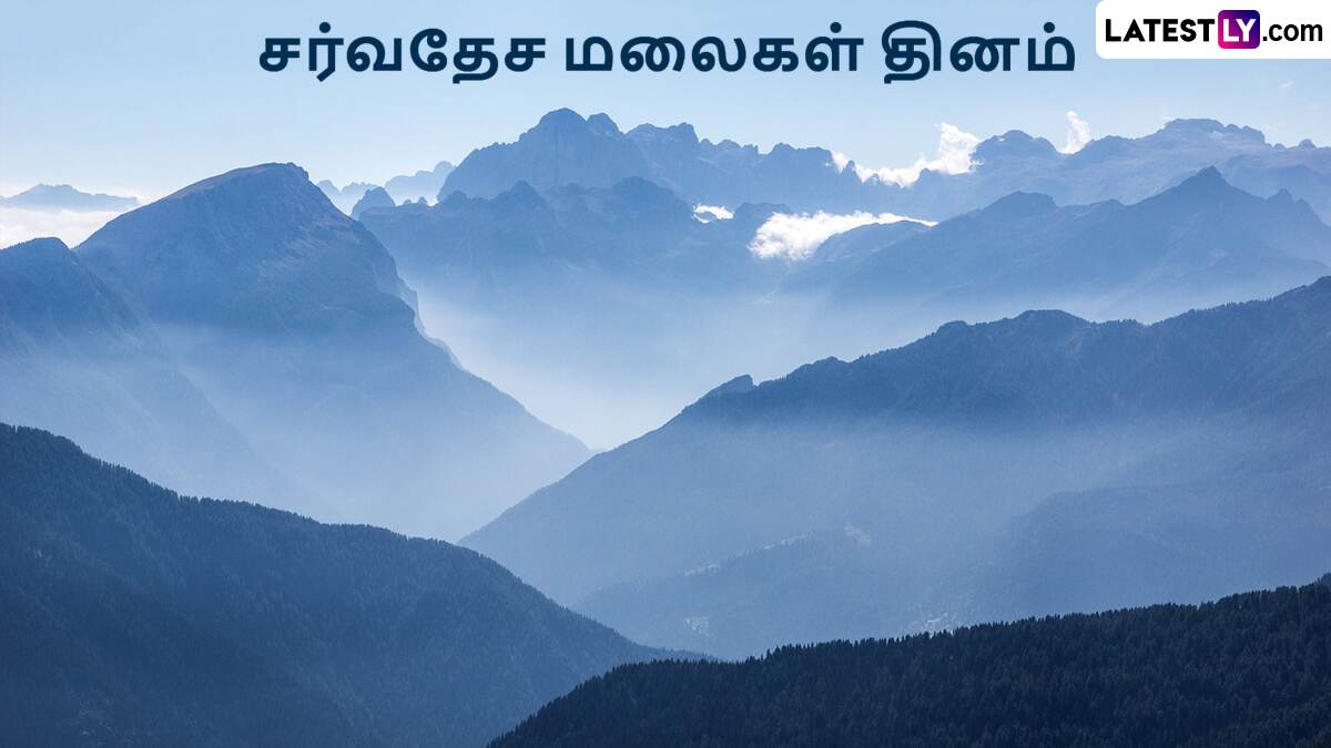 International Mountain Day 2024: சர்வதேச மலைகள் தினம்.. இந்தியாவில் உள்ள ஏழு முக்கிய மலைத்தொடர்கள் என்னென்ன?!