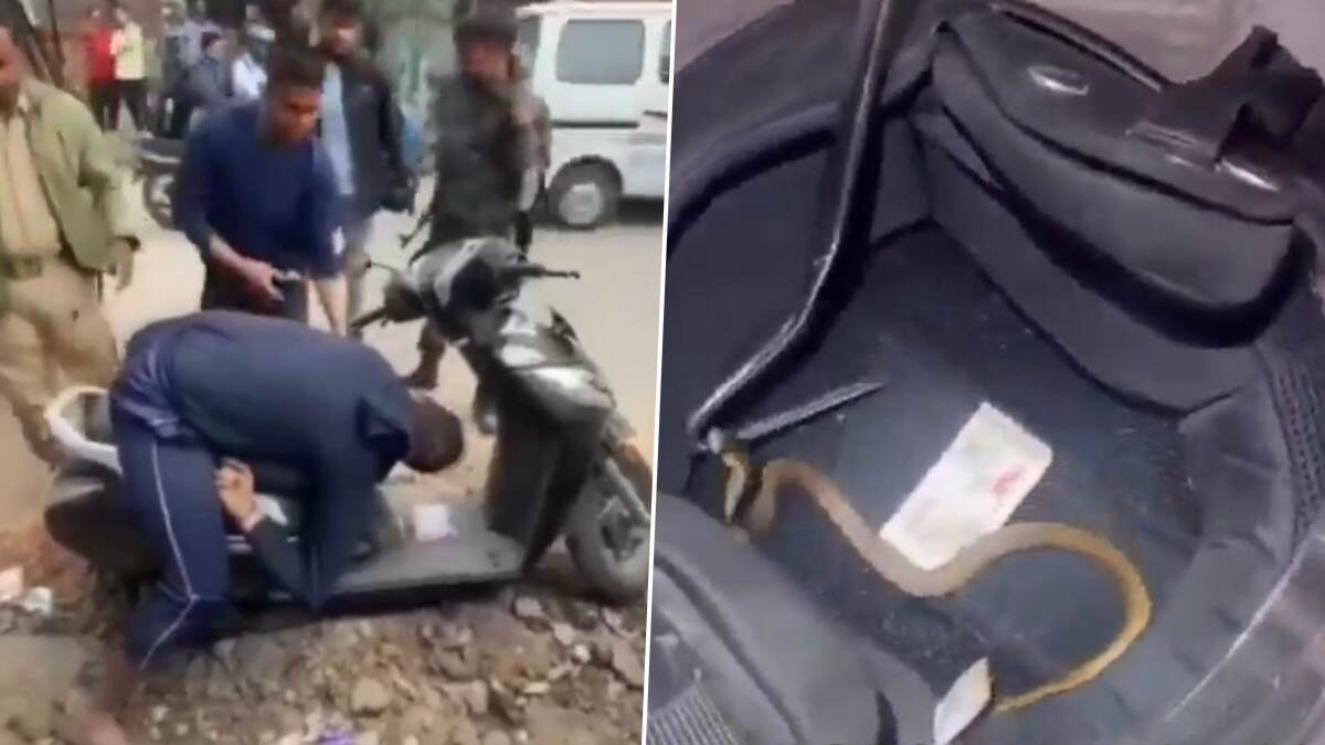 Viral Video: ஹெல்மெட்டிற்குள் மறைந்திருந்த விஷப்பாம்பு.. மழைக்காலத்தில் மக்களே உஷார்.., அதிர்ச்சிகர வீடியோ உள்ளே..!