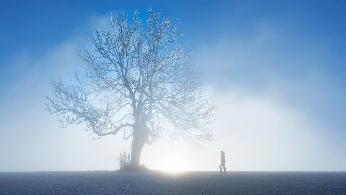 Winter Season (Photo Credit: Pixabay)