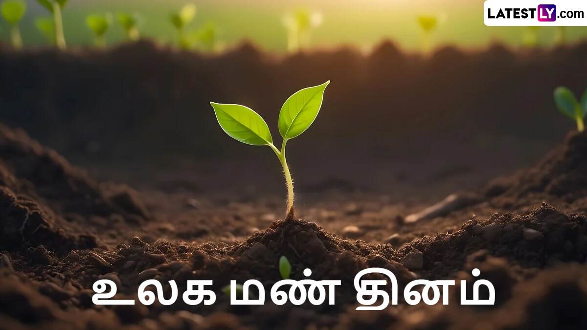 World Soil Day 2024: உலக மண் தினம்.. மண் வளத்தை மேம்படுத்துவது எப்படி? விவரம் உள்ளே..!