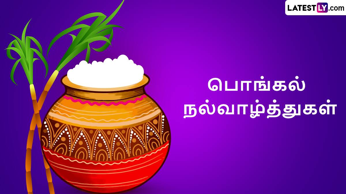 Pongal Wishes Tamil: பொங்கல் பண்டிகை 2025 கொண்டாட்டம்; இனிய பொங்கல் வாழ்த்துகள் இதோ.!