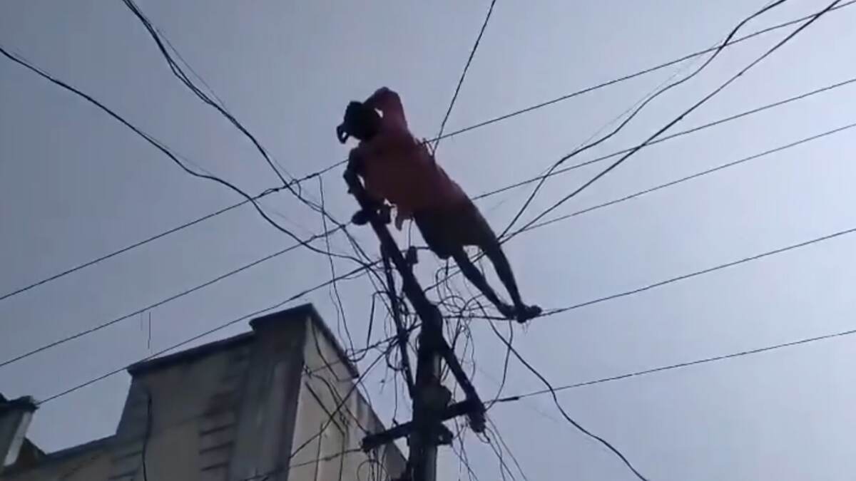 Hangover Man Atrocity: புத்தாண்டுக்கு புல்லா குடி..போதை ஆசாமி அட்ராசிட்டி.. என்ன பாஸ் இதெல்லாம்?