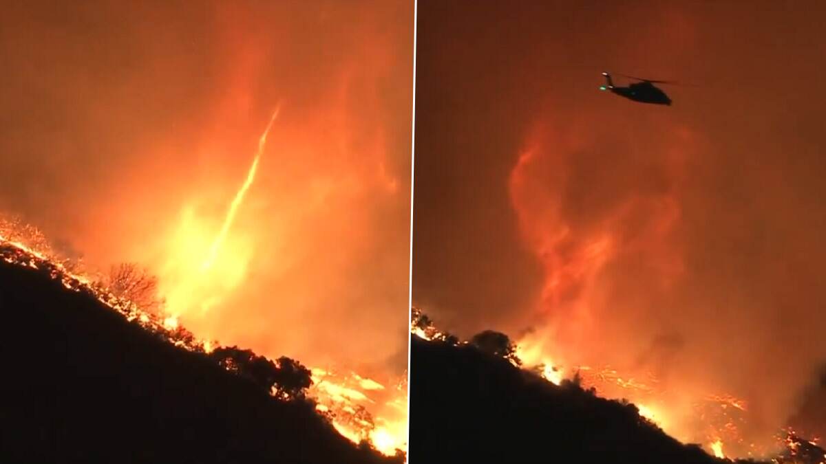 Forest Fire: கட்டுக்கடங்காத காட்டுத்தீ.. பிரபலங்கள் முதல் சாமானியர்கள் வரை வீடுகளை விட்டு வெளியேறும் சம்பவம்.. விபரம் உள்ளே.!