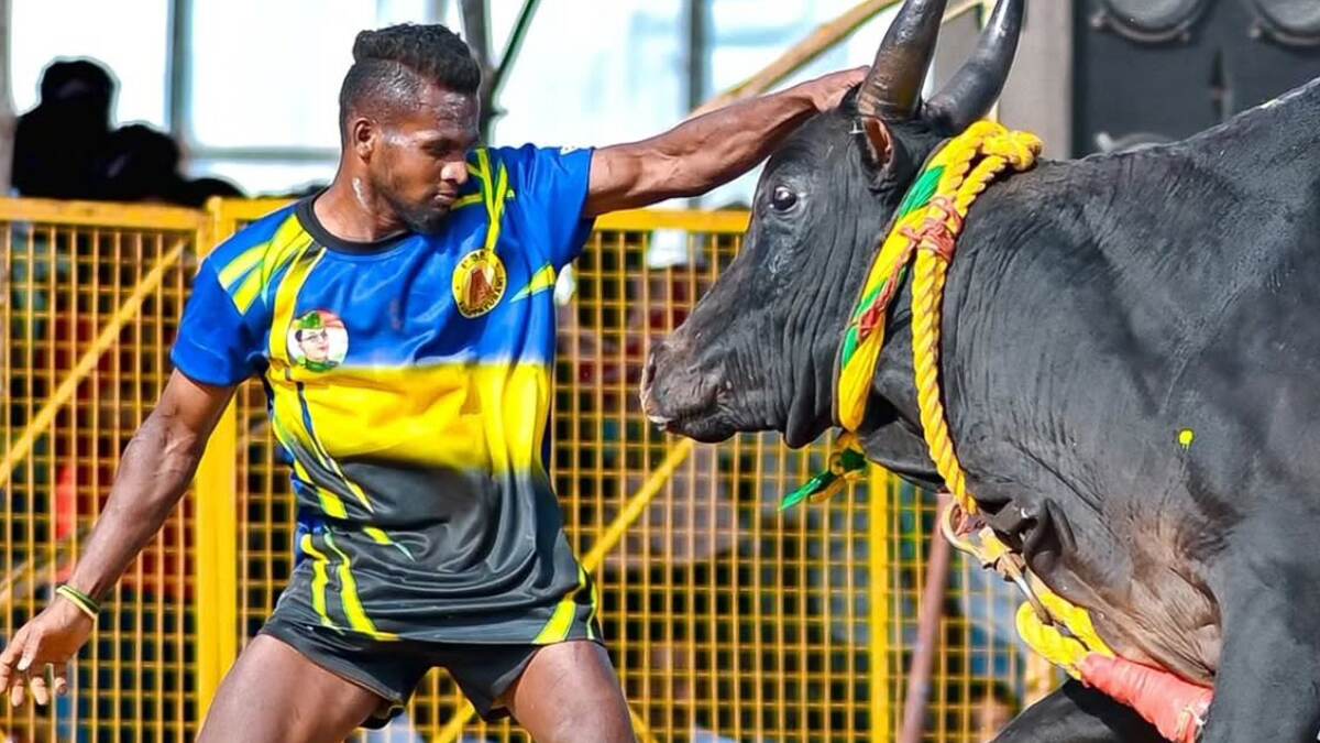 Palamedu Jallikattu 2025: பட்டைய கிளப்பிய பாலமேடு ஜல்லிக்கட்டு.. முதல் 3 இடங்களைப் பிடித்த வீரர்கள் லிஸ்ட் இதோ.!