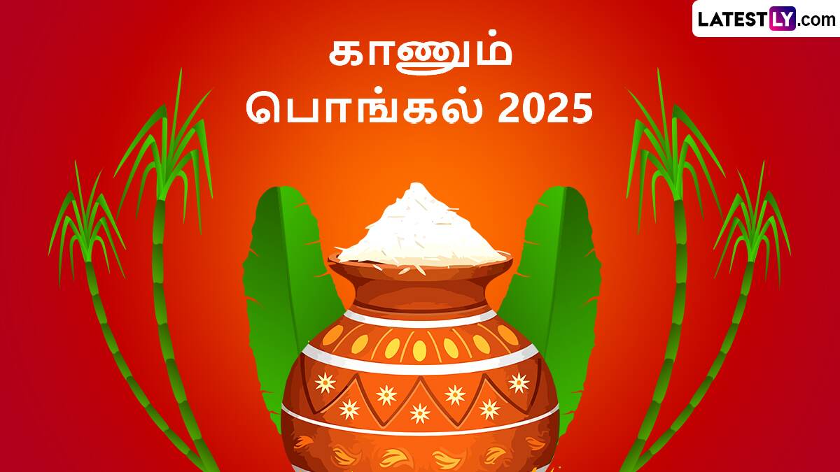Kaanum Pongal: காணும் பொங்கல் 2025: கொண்டாட காரணம் என்ன? அசத்தல் தகவல் இதோ.!