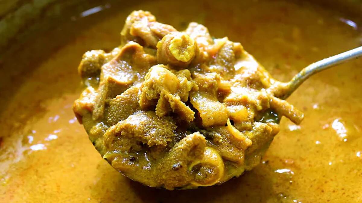 Kudal Kulambu Recipe: ஆட்டு குடல் குழம்பு மிக சுவையாக செய்வது எப்படி? டிப்ஸ் இதோ.!