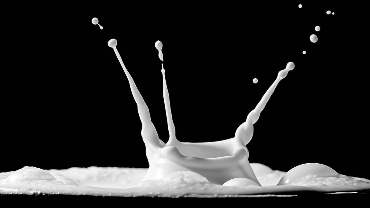 Milk Value Addition: லாபம் கொட்டும் பால் மதிப்புக் கூட்டல்.. என்னனு தெரியுமா? விபரம் உள்ளே.!