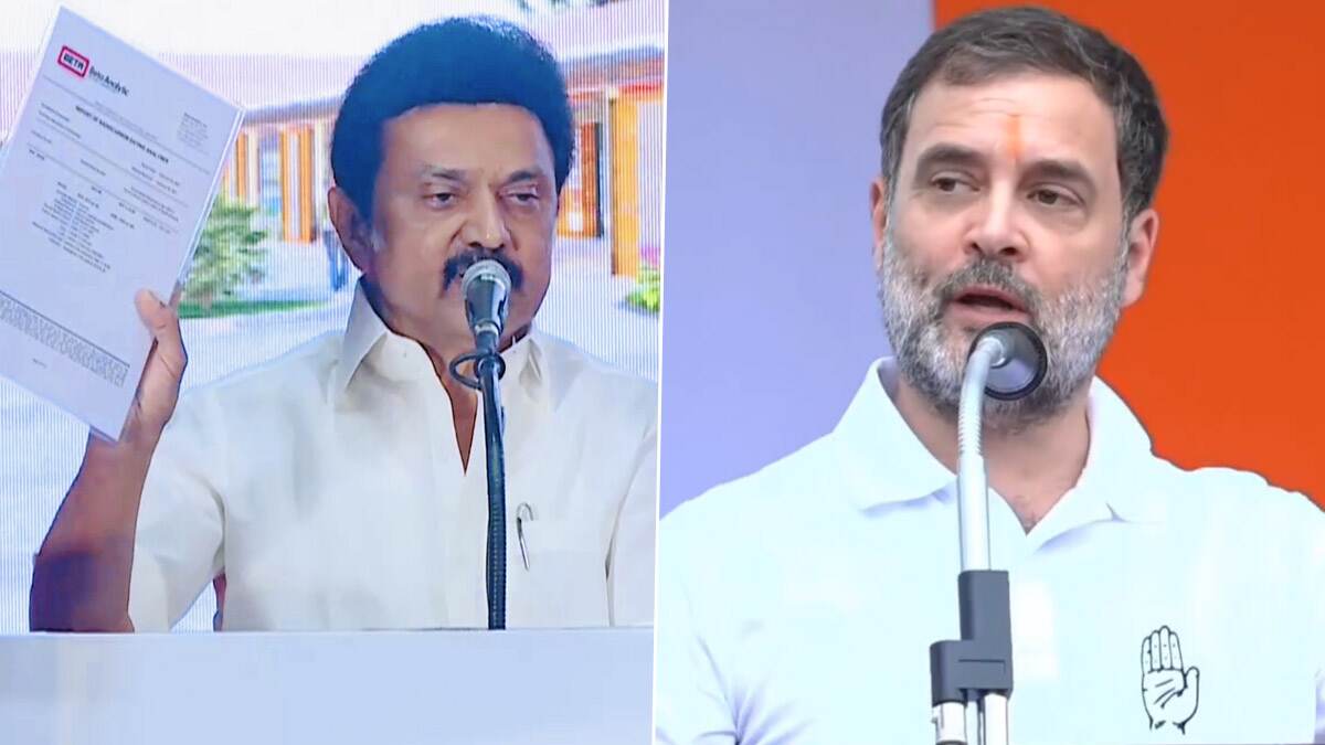 Rahul Gandhi: தமிழ்நாட்டில் தொடங்கிய இரும்பின் காலம் - ராகுல் காந்தி பெருமிதம்.!