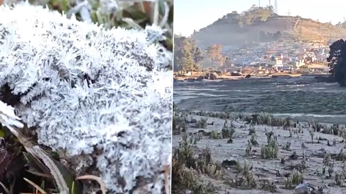 Ooty Weather Update: காஷ்மீர் போல் மாறியிருக்கும் ஊட்டி; உறைபனியில் புற்களின் ரம்மியமான காட்சி.!