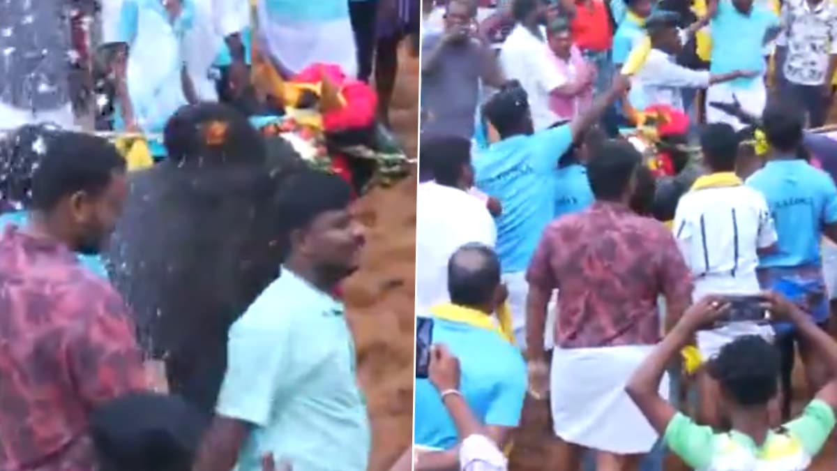 Palamedu Jallikattu 2025: இன்று பாலமேடு ஜல்லிக்கட்டு 2025: சீறிப்பாயும் காளையும், விடாப்பிடி காளையர்களும்.!