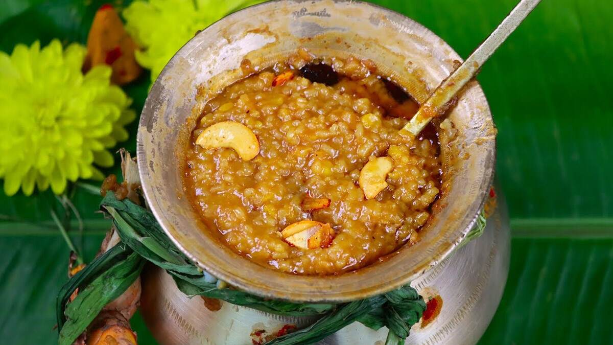 Pongal Recipe: பொங்கல் 2025; தித்திப்பான சர்க்கரை பொங்கல் செய்வது எப்படி..? அசத்தல் ரெசிபி டிப்ஸ் இதோ..!