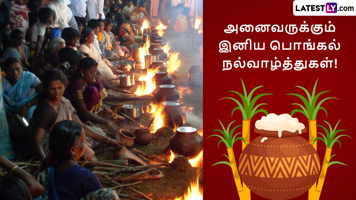 Pongal 2025: இன்று தைப்பொங்கல் 2025: பொங்கல் வைக்க நல்ல நேரம், வாழ்த்துப்பதிவு இதோ.!