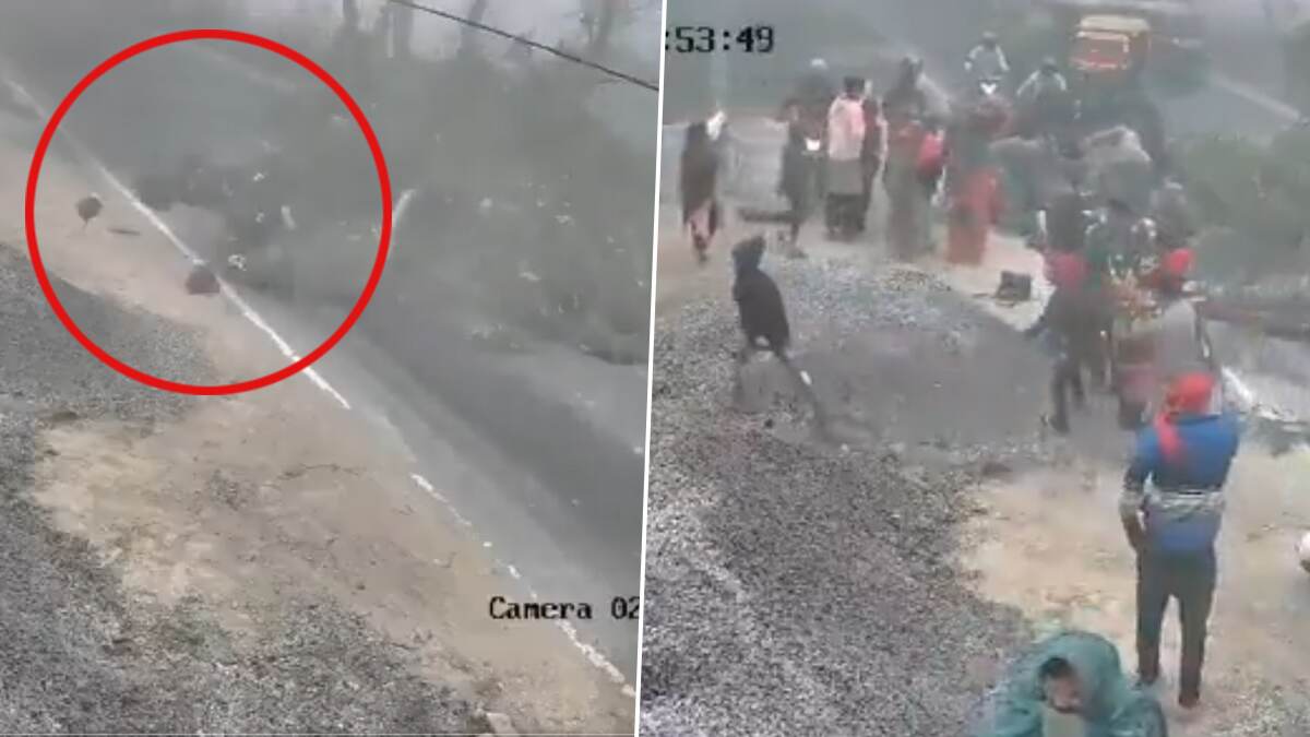 Tree Fell on Female Teacher: மரக்கிளை முறிந்து விழுந்து விபத்து; பெண் ஆசிரியர் சம்பவ இடத்திலேயே பலி..!