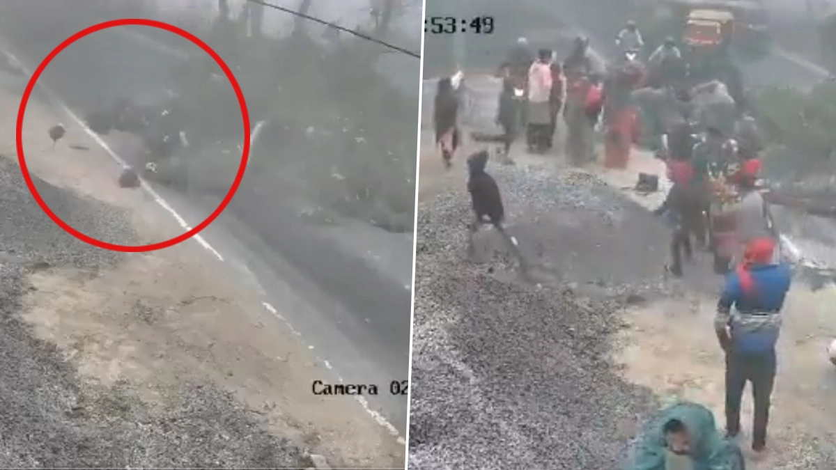 Tree Fell on Female Teacher: மரக்கிளை முறிந்து விழுந்து விபத்து; பெண் ஆசிரியர் சம்பவ இடத்திலேயே பலி..!