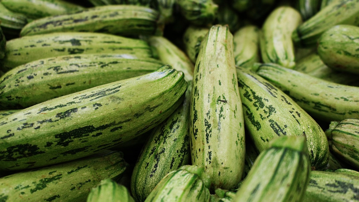 Courgette Growing Guide: வார வாரம் லாபம் தரும் கோவைக்காய்.. இதெல்லாம் தெரிஞ்சிக்கோங்க.!