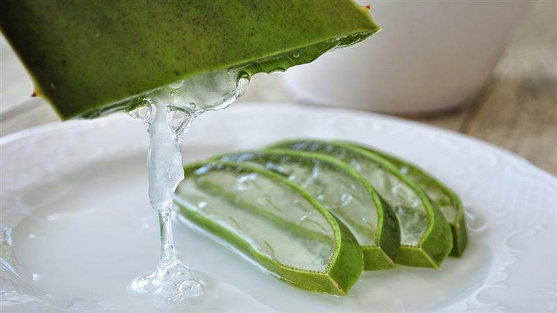 Aloe Vera Gel: கற்றாழை ஜெல் வீட்டிலேயே ஈஸியாக தயாரிப்பது எப்படி? இந்த மேஜிக் பொருளை சேருங்க!