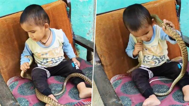 அம்மாடி.. பாம்புடன் அசால்ட்டாக விளையாடும் குழந்தை.. பயமே இல்லை? நெட்டிசன்கள் கலாய்.!