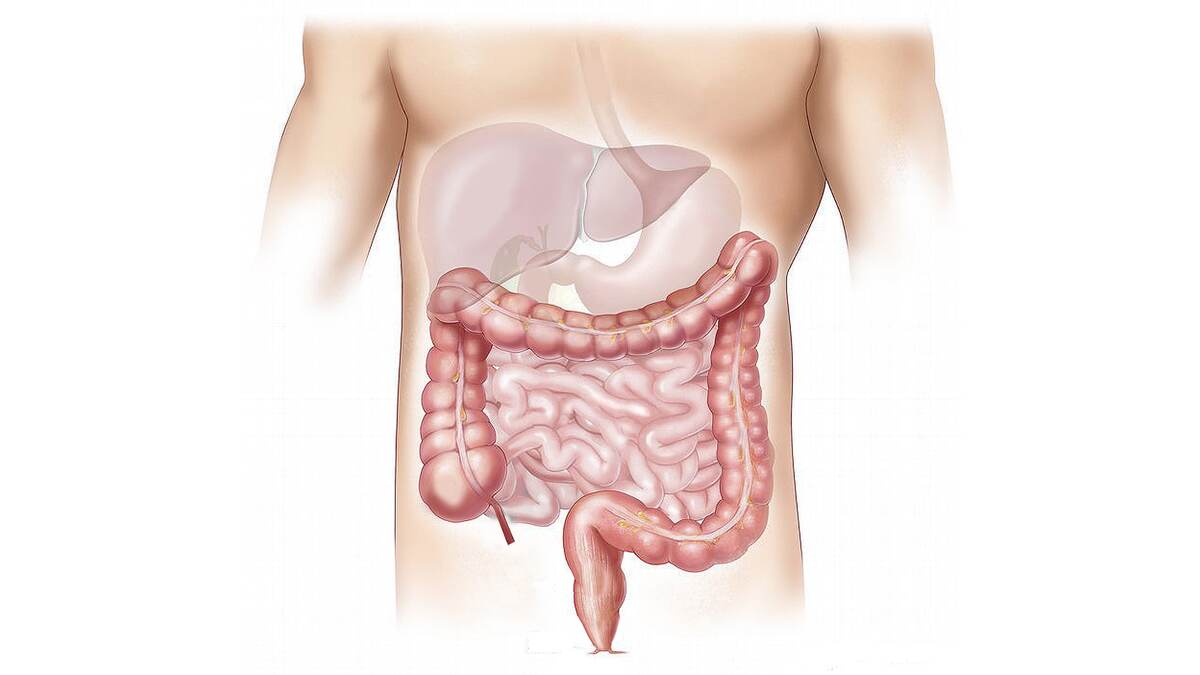 Fatty Liver Disease: 80 சதவீத ஐடி ஊழியர்களுக்கு கொழுப்பு கல்லீரல் நோய் பாதிப்பு.. கவனிக்க வேண்டிய அறிகுறிகள்..!