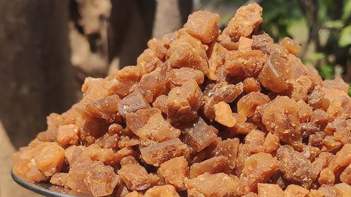 Panangarkandu Benefits: எண்ணற்ற பயன்களை அள்ளித்தரும் பனங்கற்கண்டு.. தெரிந்து கொள்வோம்..!