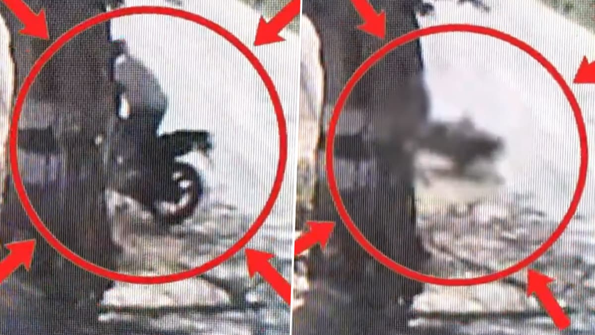 Sankarankovil Accident: சாலையோர புளியமரத்தில் காத்திருந்த எமன்.. கார் வாங்க ஆசையாக சென்றவர் சம்பவ இடத்திலேயே பலி.!