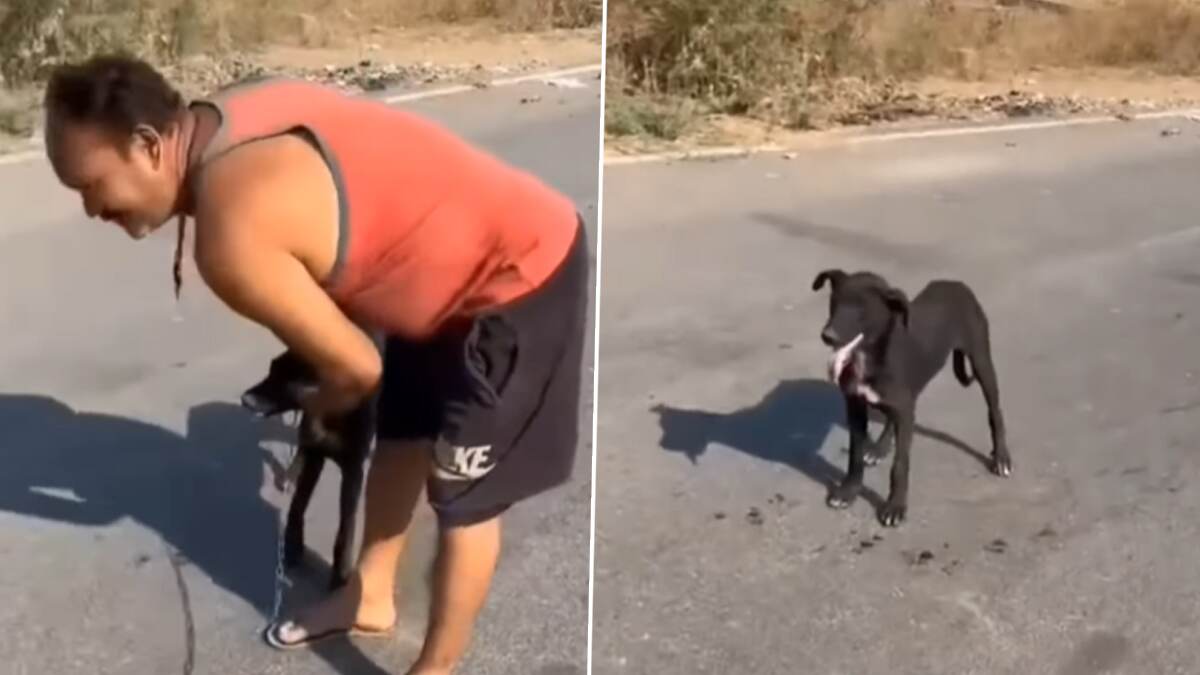 Trending Video: ஈவுஇரக்கமற்ற மனிதா? தெருநாயை சங்கிலியில் கட்டி சாலையில் இழுத்து வந்த நபர்; வார்த்தையால் வெளுத்து வாங்கிய பெண்.!