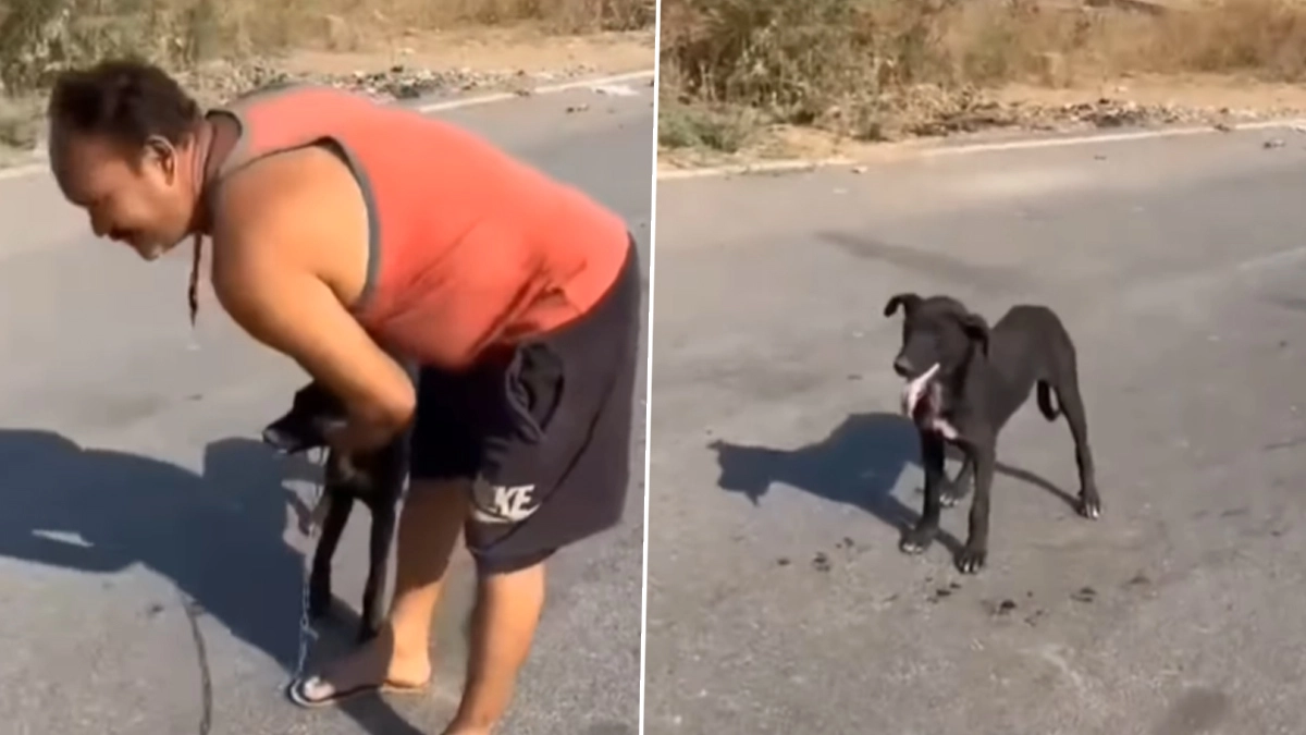 Trending Video: ஈவுஇரக்கமற்ற மனிதா? தெருநாயை சங்கிலியில் கட்டி சாலையில் இழுத்து வந்த நபர்; வார்த்தையால் வெளுத்து வாங்கிய பெண்.!