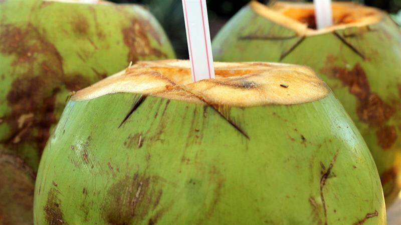 Tender Coconut Benefits: கோடை வெயிலை சமாளிக்க இளநீர் குடிங்க.. நன்மைகள் என்னென்ன..?