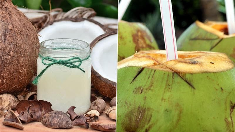 Coconut Water: இளநீர் குடித்த 69 வயது முதியவர் மூளை வீங்கி மரணம்.. அதிர்ச்சிதரும் காரணம்.!