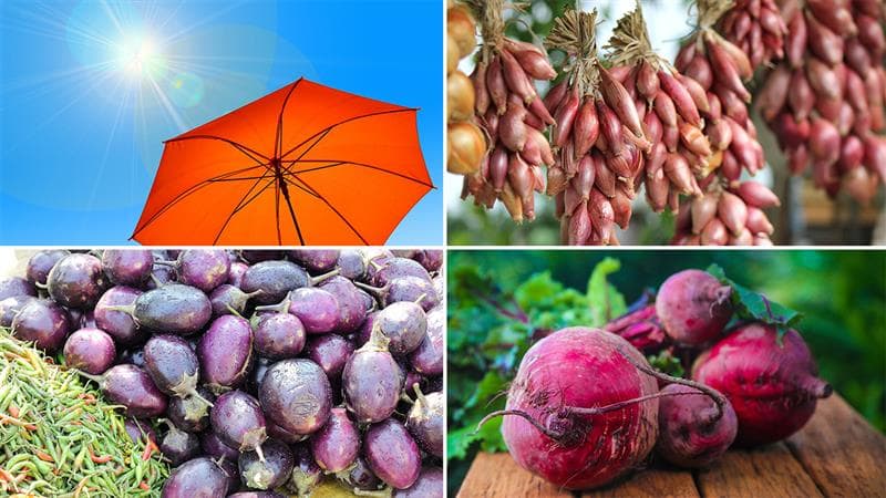 Summer Health Tips: கோடைகாலத்தில் கட்டாயம் தவிர்க்கப்படவேண்டிய காய்கறிகள்.. லிஸ்ட் இதோ.!
