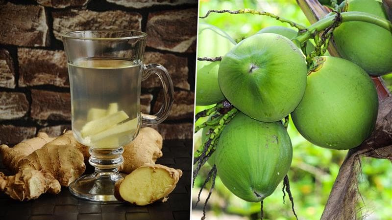 Tender Coconut Ginger Juice: வெயிலுக்கு இதமான இளநீர் இஞ்சி பானம் செய்வது எப்படி..? அசத்தல் டிப்ஸ் இதோ..!