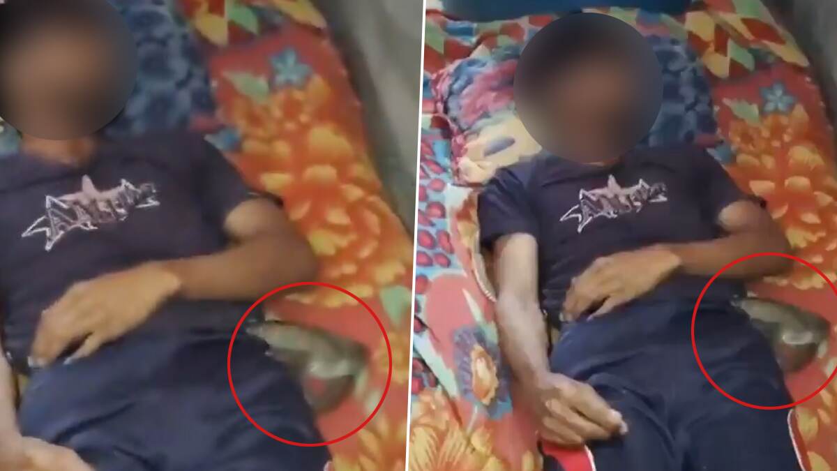 காதலனுடன் சேர்ந்து கணவரை தீர்த்துக்கட்டிய மனைவி.. பாம்பு கடித்து இறந்ததாக பொய் புகார்..!