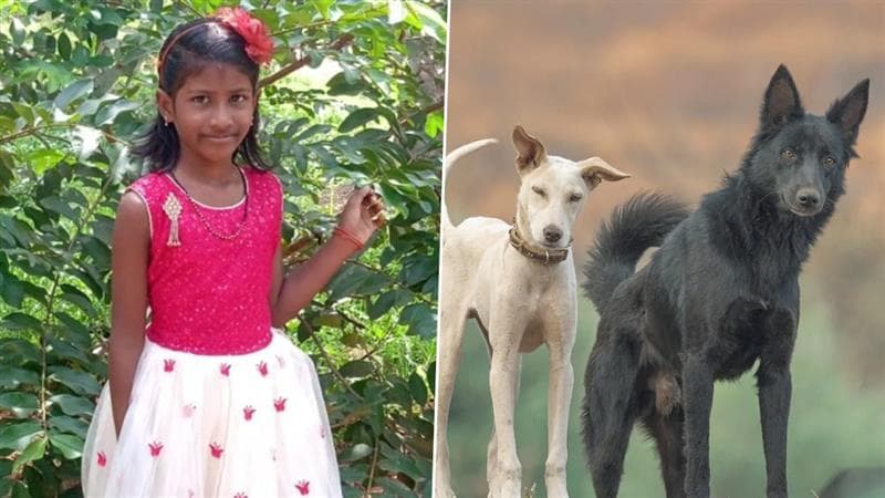 7-Year-OId Girl Dies of Rabies: 7 வயது சிறுமி ரேபிஸ் தொற்றால் மரணம்; கலங்கவைக்கும் சோகம்.!