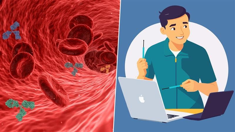 Health Tips: நோய் எதிர்ப்பு சக்தியை அதிகரிக்க என்ன செய்யலாம்?.. எளிமையான டிப்ஸ்.!