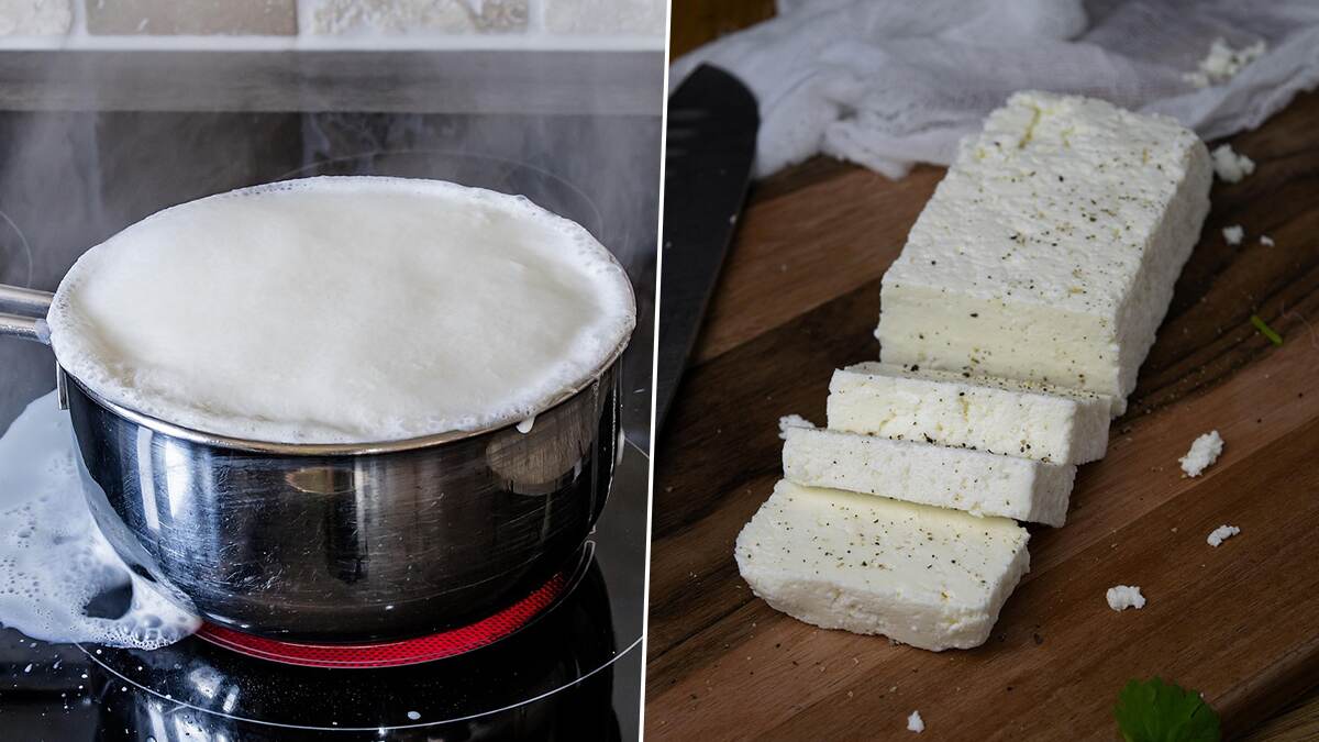 Cooking Tips: திரிந்து போன பாலை இப்படியும் பயன்படுத்தலாம்.. நா ருசிக்க வீட்டிலேயே செய்து அசத்துங்க.!