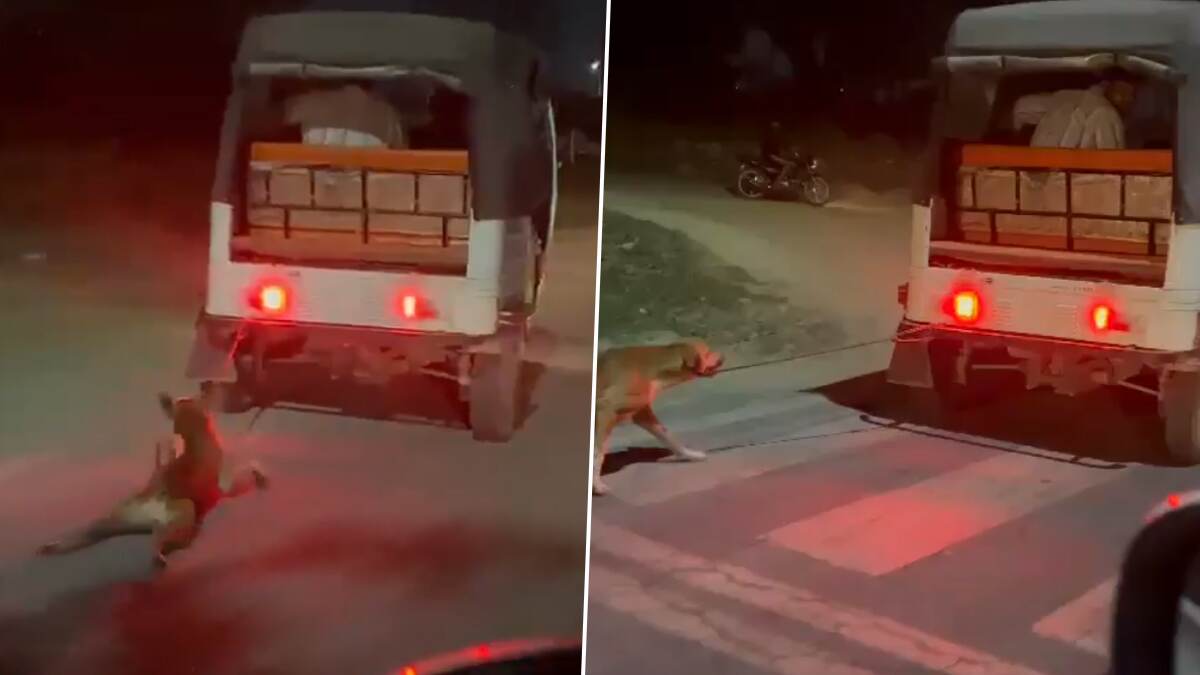 Trending Video: இரக்கமில்லாத நபரால் வாயில்லா ஜீவனுக்கு நேர்ந்த கொடுமை.. ஆட்டோவில் கட்டி இழுத்துச்செல்லப்பட்ட நாய்.!